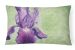 12 in x 16 in  Outdoor Throw Pillow Purple Iris by Malenda Trick Canvas Fabric Decorative Pillow