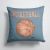 14 in x 14 in Outdoor Throw PillowBasketball Fabric Decorative Pillow