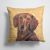 14 in x 14 in Outdoor Throw PillowDachshund Wipe your Paws Fabric Decorative Pillow