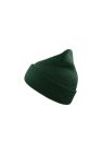 Atlantis Wind Double Skin Beanie With Turn Up (Green) - Green
