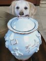 Dog Treat Jar - French White