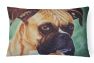 12 in x 16 in  Outdoor Throw Pillow Boxer by Tanya and Craig Amberson Canvas Fabric Decorative Pillow