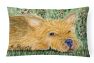 12 in x 16 in  Outdoor Throw Pillow Norwich Terrier Canvas Fabric Decorative Pillow