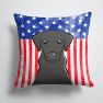 14 in x 14 in Outdoor Throw PillowAmerican Flag and Black Labrador Fabric Decorative Pillow