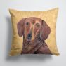 14 in x 14 in Outdoor Throw PillowDachshund Wipe your Paws Fabric Decorative Pillow