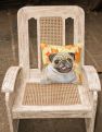 14 in x 14 in Outdoor Throw PillowFawn Pug Fall Fabric Decorative Pillow