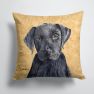 14 in x 14 in Outdoor Throw PillowLabrador Wipe your Paws Fabric Decorative Pillow