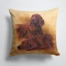 14 in x 14 in Outdoor Throw PillowRed Irish Setters Portrait by Michael Herring Fabric Decorative Pillow
