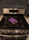 Fruits and Vegetables in Purple BB5132DS66 Oven Mitt