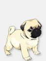 Pug Pup | Sticker - Cream