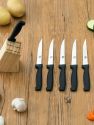 6 Piece Stainless Steel Steak Knife Set with All Natural Wood Display Block