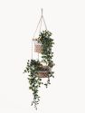 Jhuri Double Hanging Basket - Natural