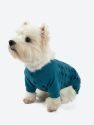 Dog Blue Paw Print Pajamas