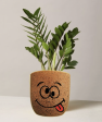 Crazy Face Plant Vase- Affordable And Fun