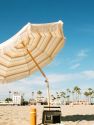 Thalia Beach Umbrella