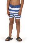 Boys Skander II Striped Swim Shorts - Lapis Blue