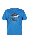 Regatta Childrens/Kids Alvarado VI Mountain T-Shirt (Imperial Blue) - Imperial Blue