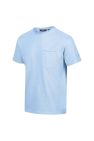 Regatta Mens Caelum Pique T-Shirt (Powder Blue)