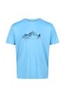 Regatta Mens Fingal VI Mountain T-Shirt - Sky Blue