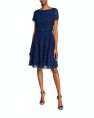 Fit and Flare Popover Lace Dress - Navy